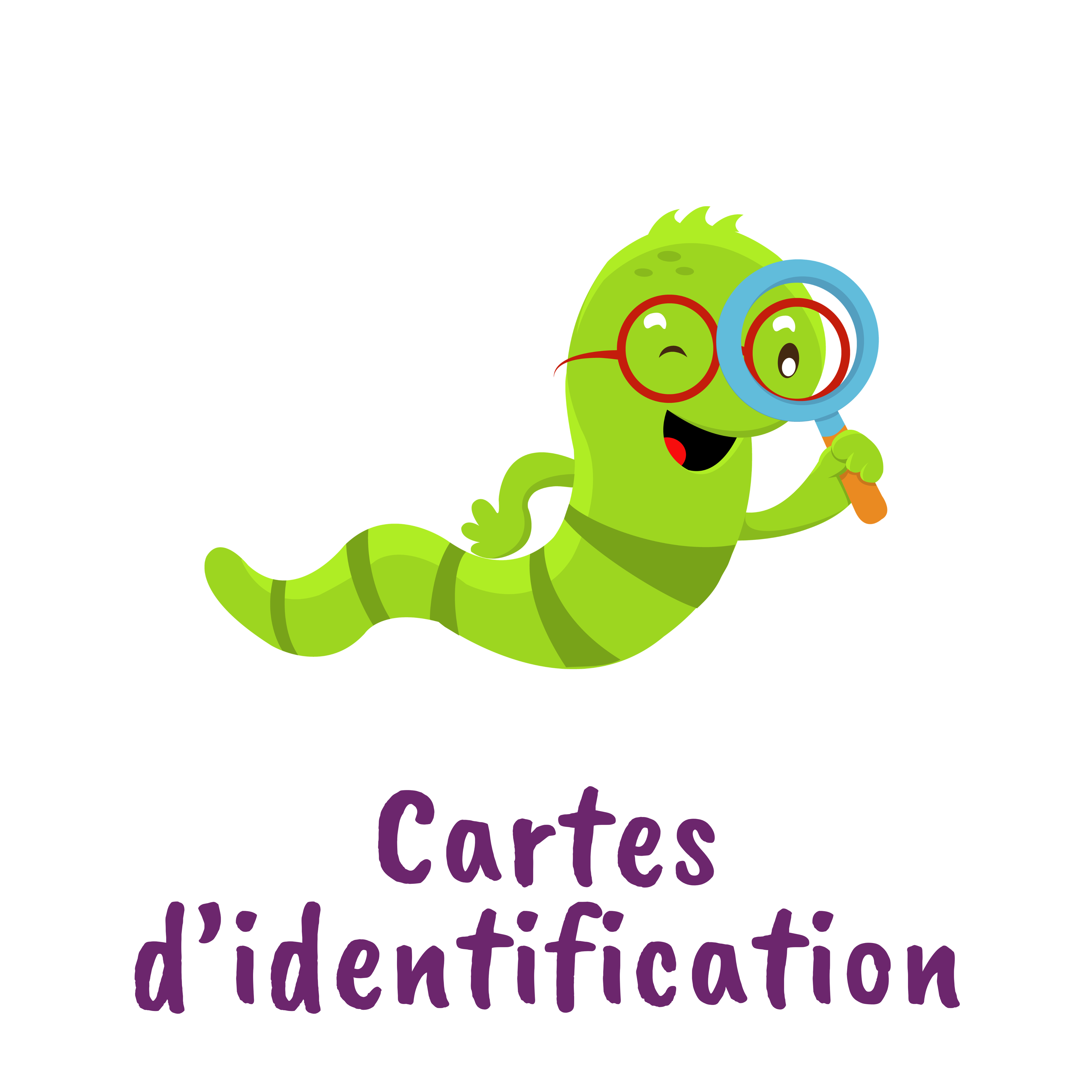 Cartes d'identification