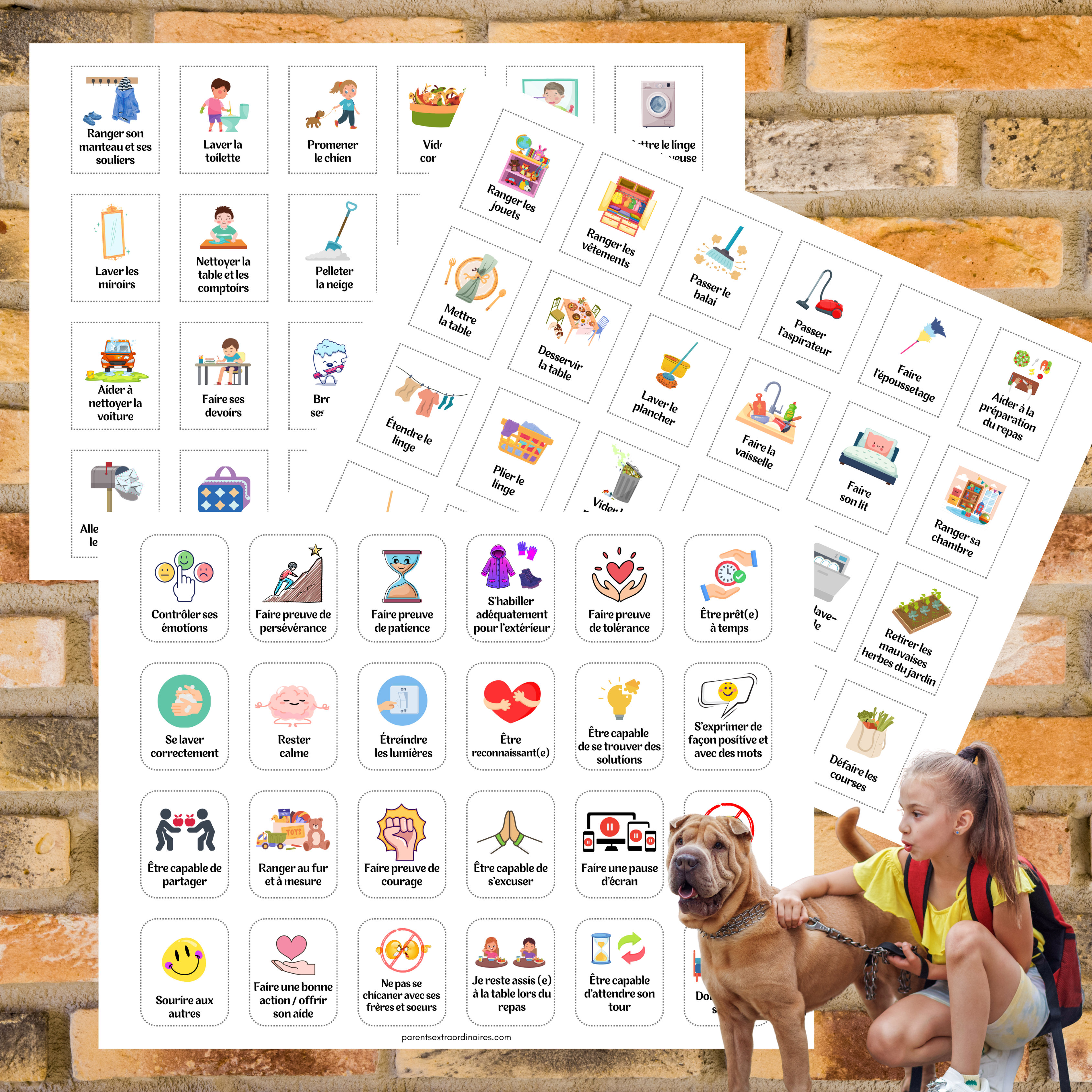 Tableau des responsabilités : super koala