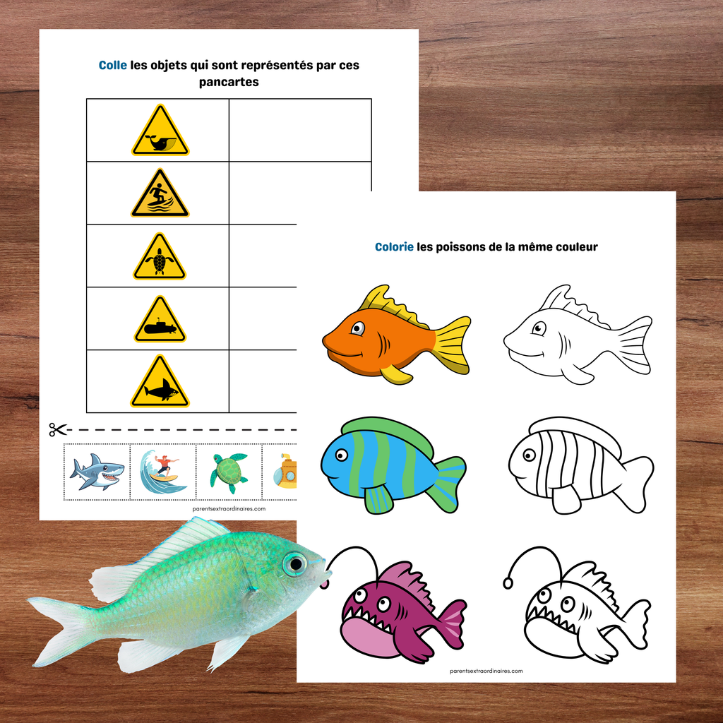 Cahier d'activités thème la plage