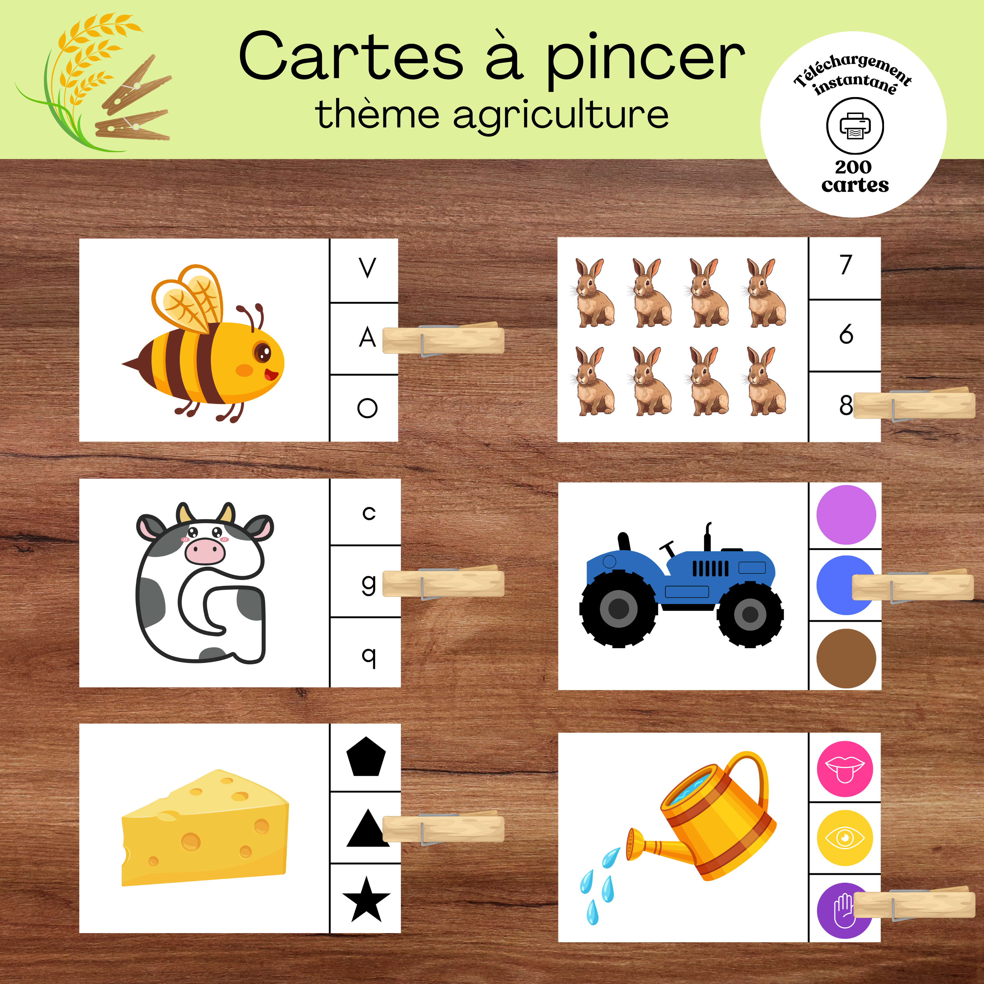 Cartes à pincer : thème agriculture