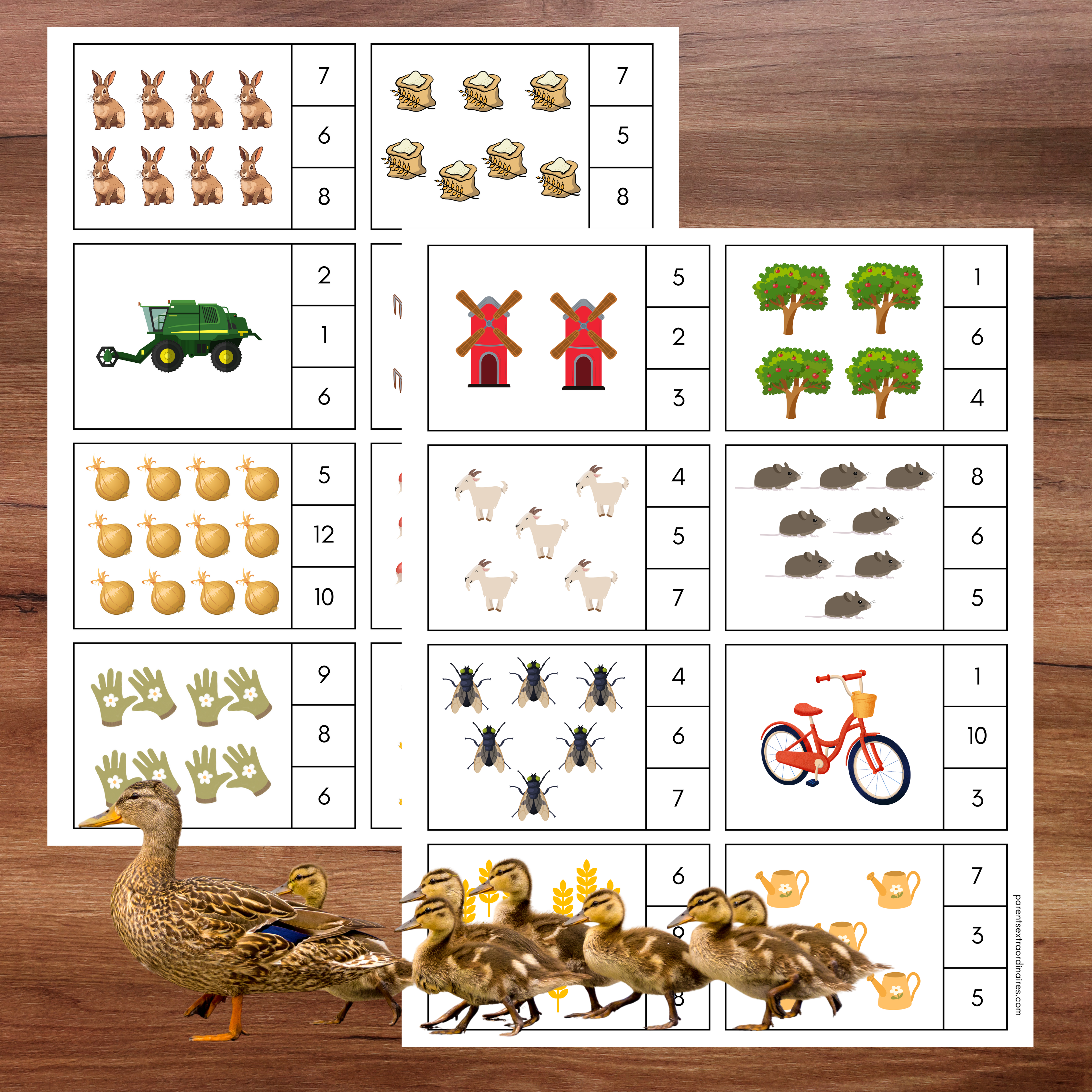 Cartes à pincer : thème agriculture