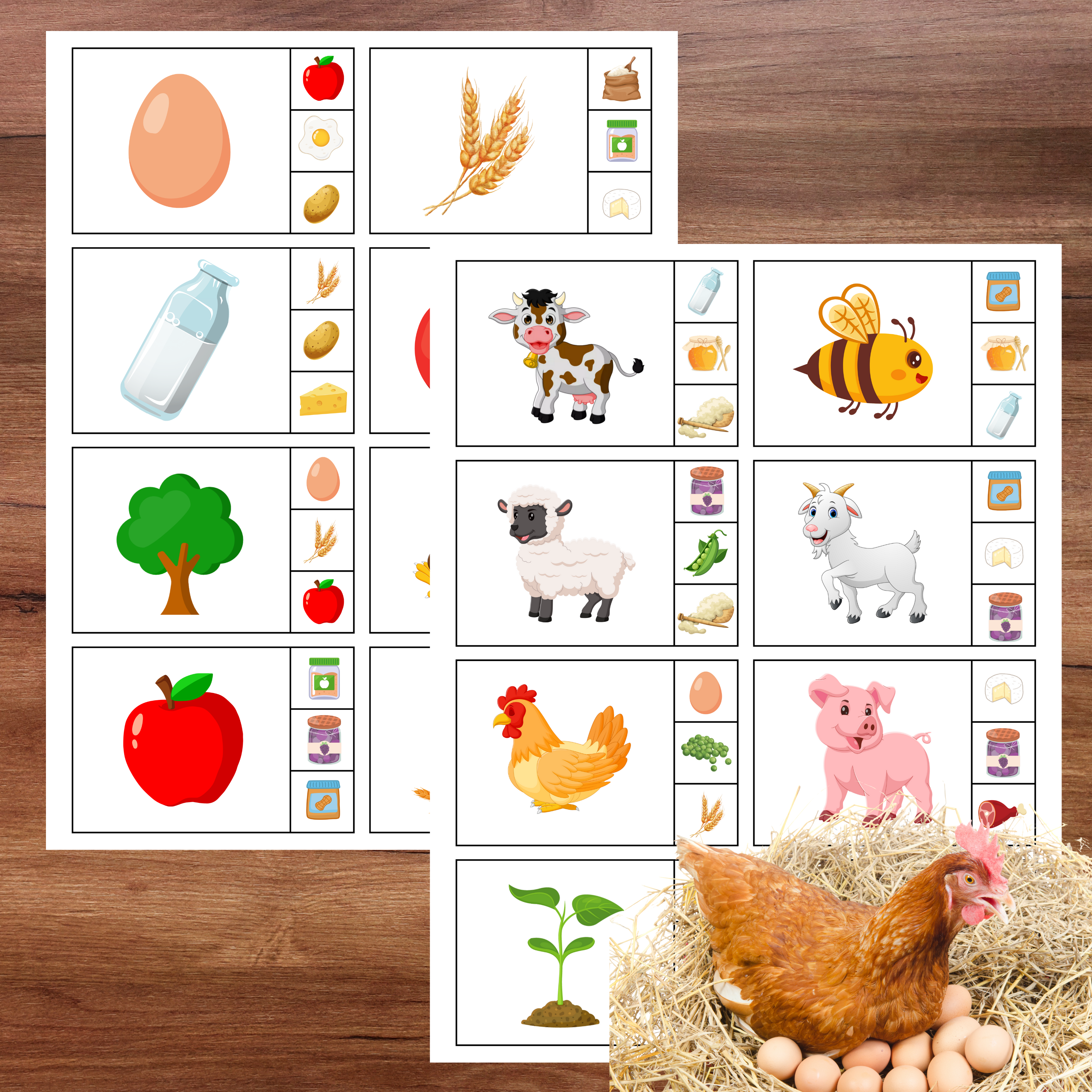 Cartes à pincer : thème agriculture