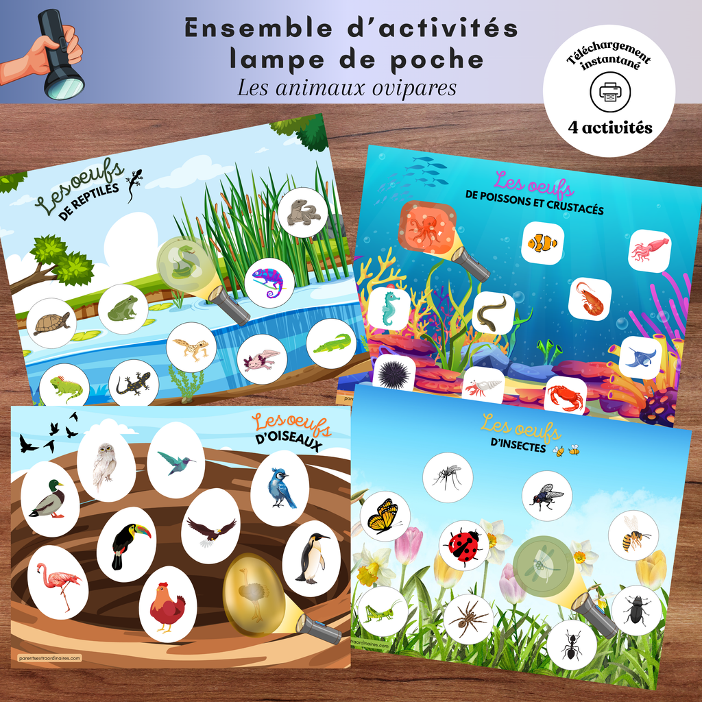 Ensemble d'activités lampe de poche : les animaux ovipares