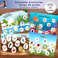 Ensemble d'activités lampe de poche : les animaux ovipares