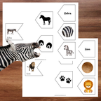 Associations animaux