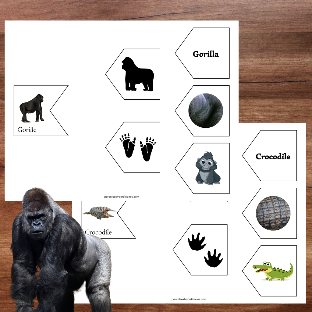 Associations animaux