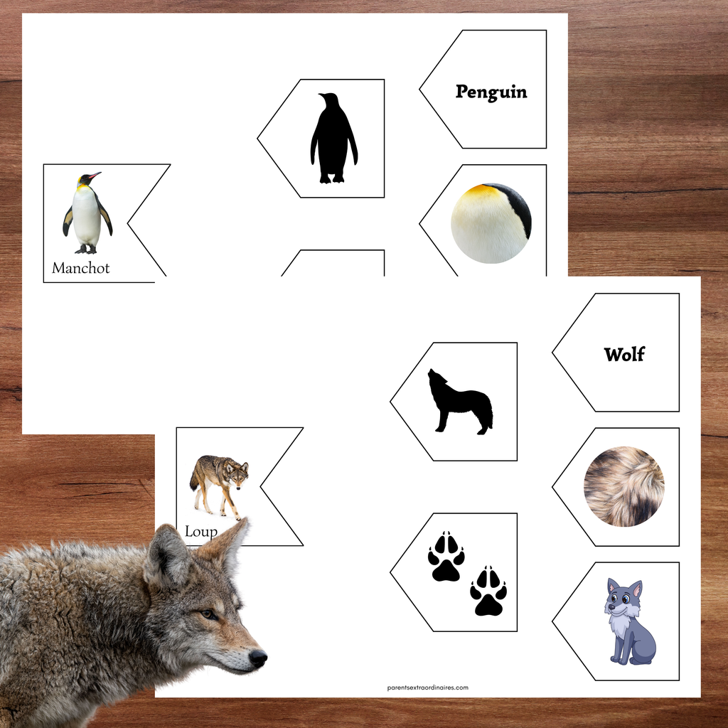 Associations animaux