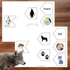 Associations animaux