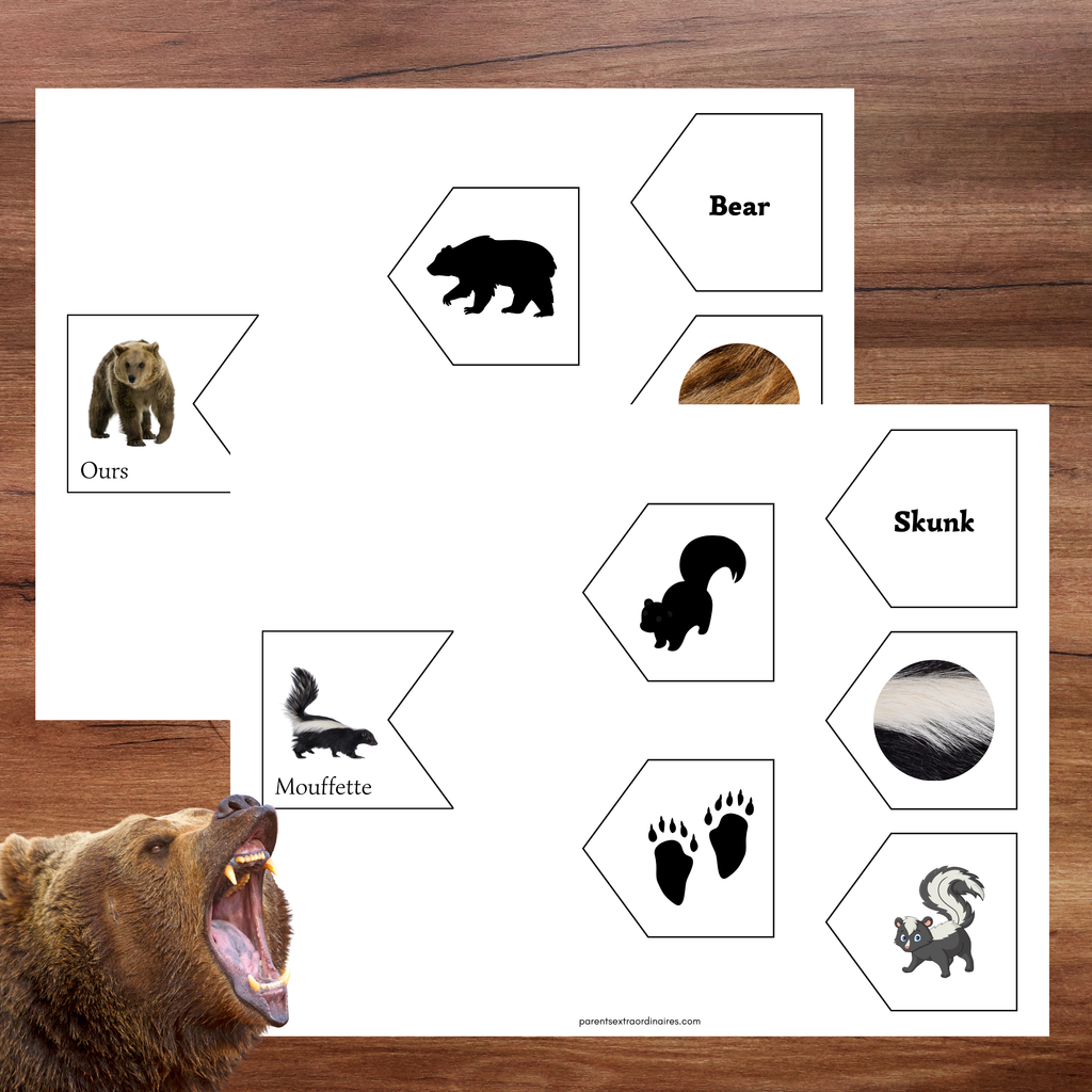 Associations animaux