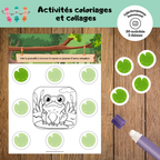 Activités collage et coloriage