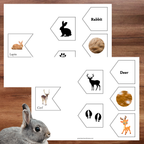 Associations animaux