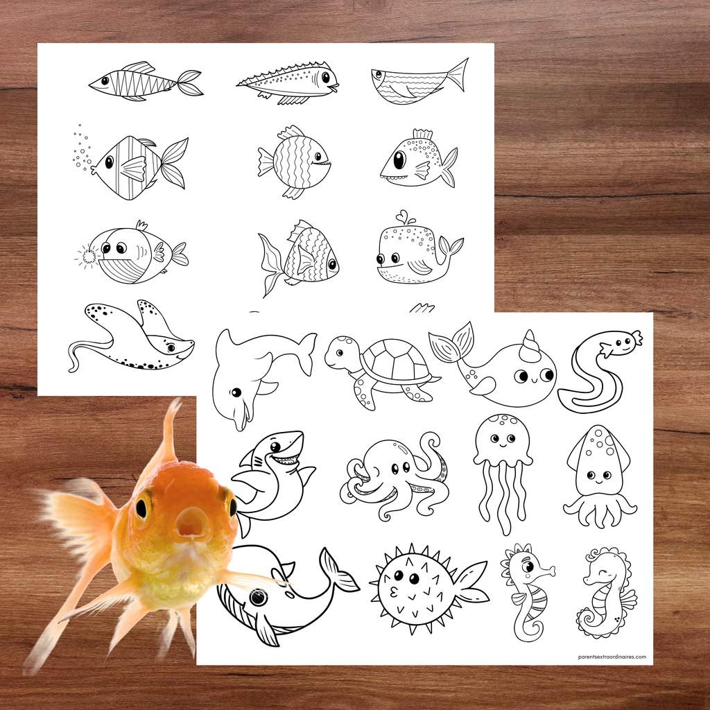 Bricolage aquarium et activités de communication