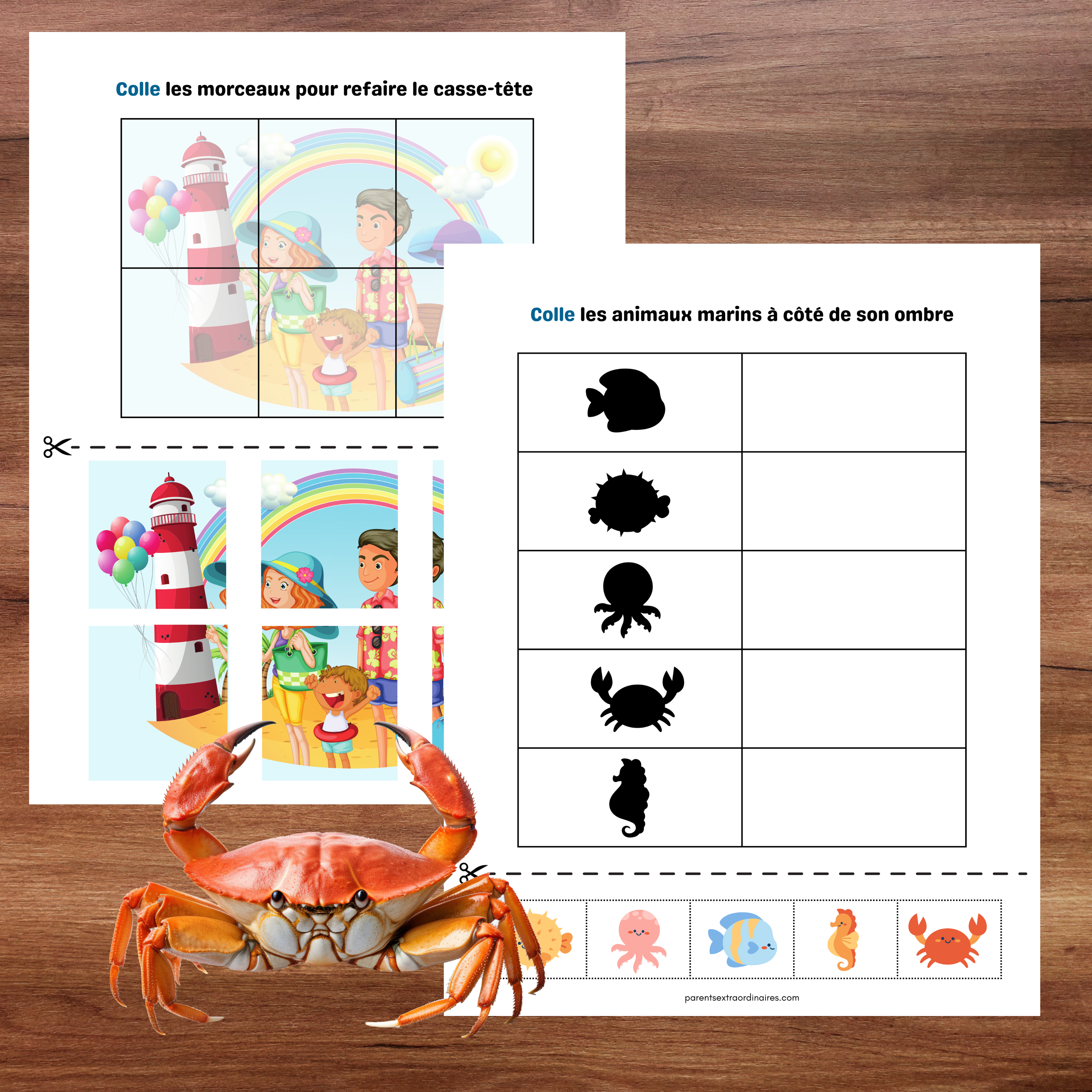 Cahier d'activités thème la plage