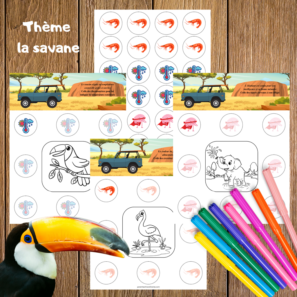 Activités collage et coloriage