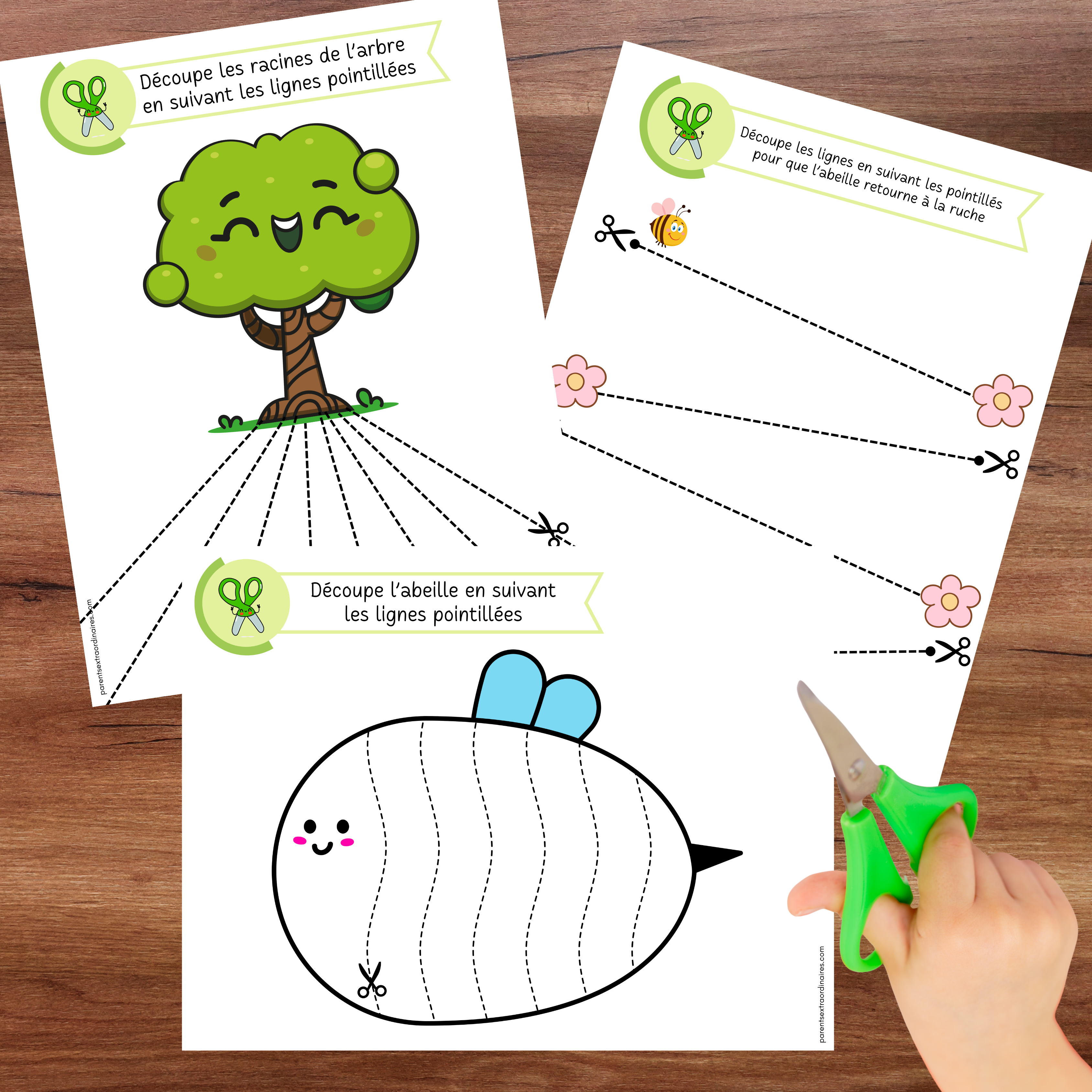 Cahier de découpage : thème nature