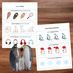 Cahier d'activités d'hiver