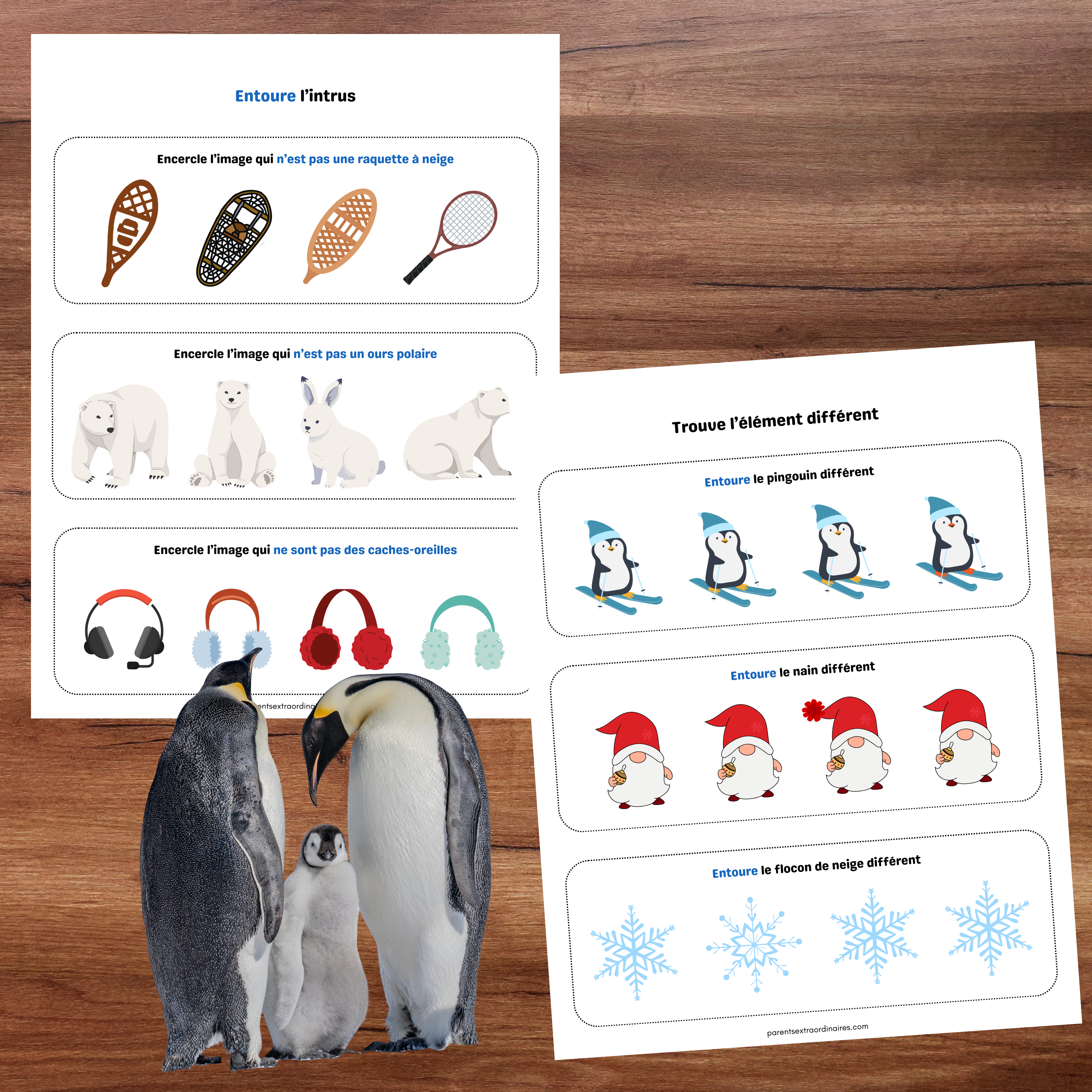 Cahier d'activités d'hiver