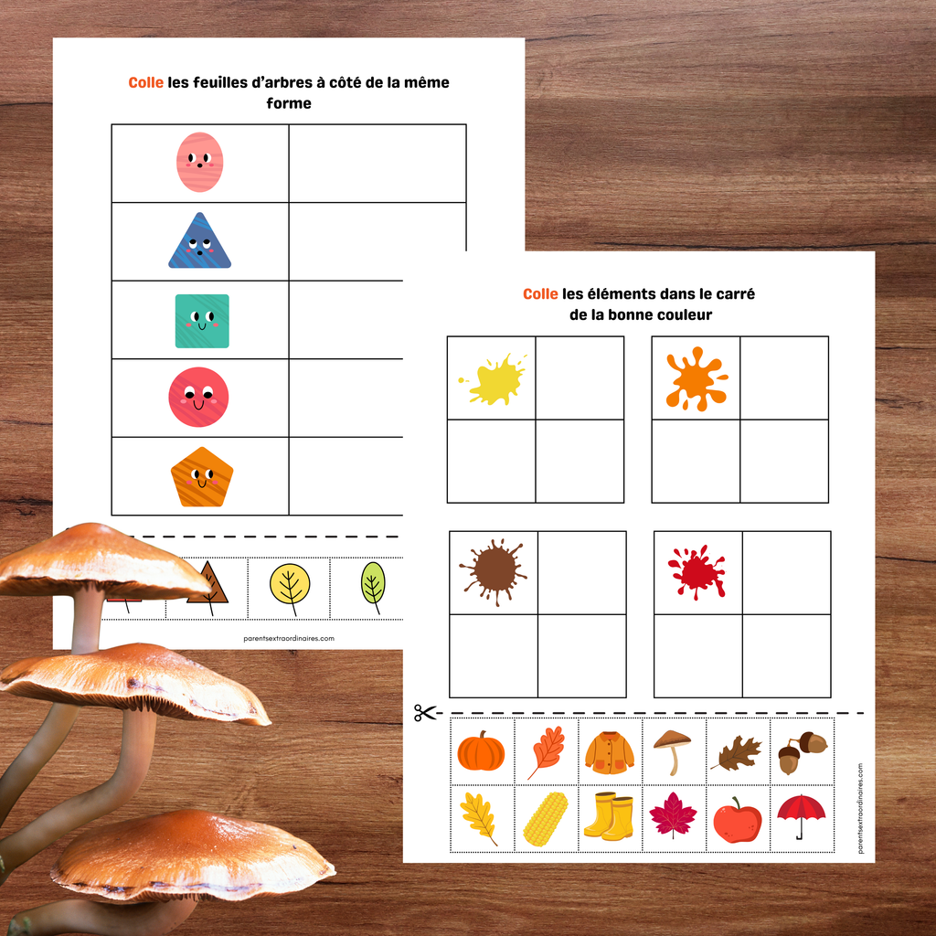 Cahier d'activités d'automne