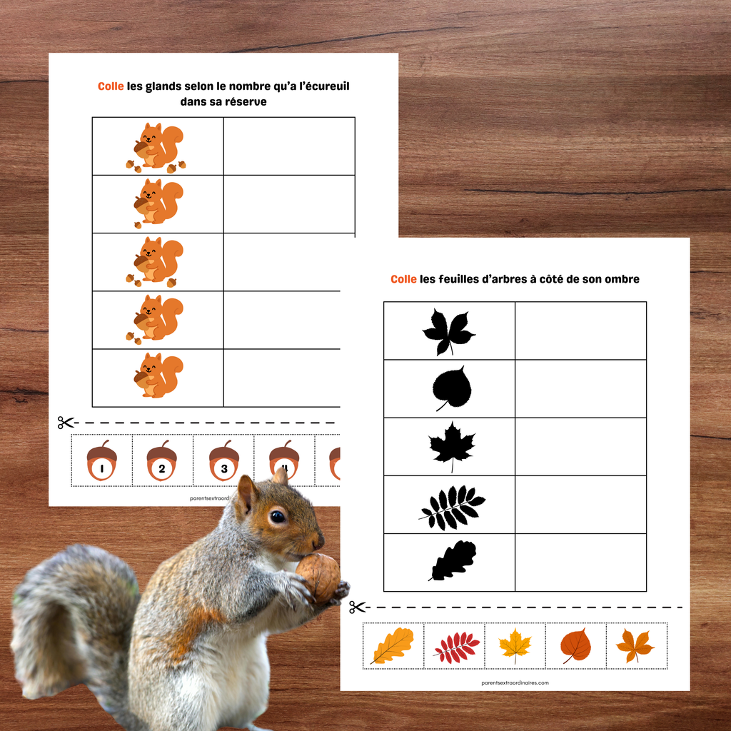 Cahier d'activités d'automne