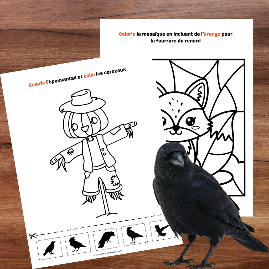 Cahier d'activités d'automne