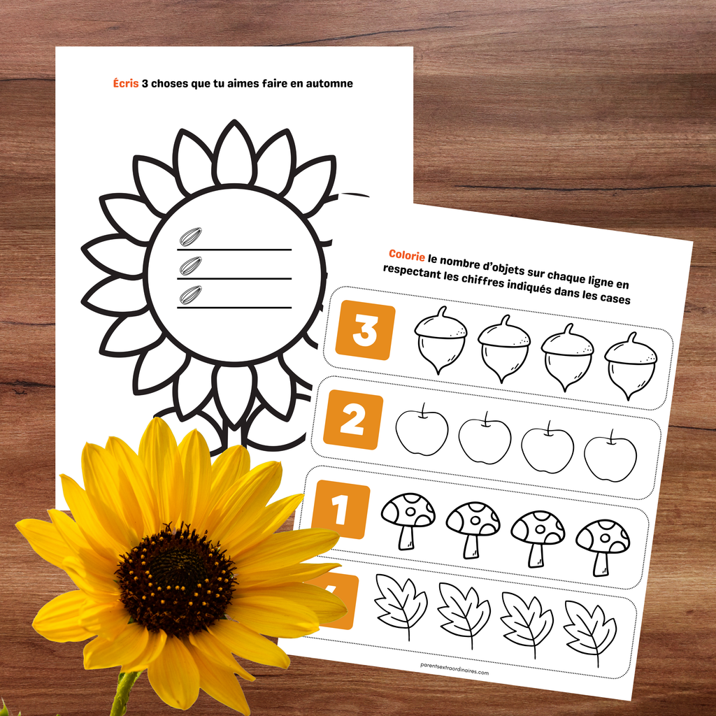 Cahier d'activités d'automne