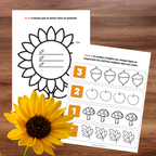 Cahier d'activités d'automne