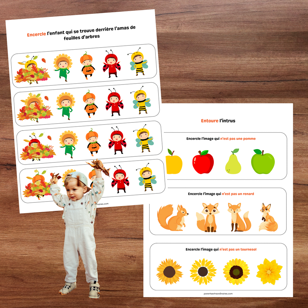 Cahier d'activités d'automne