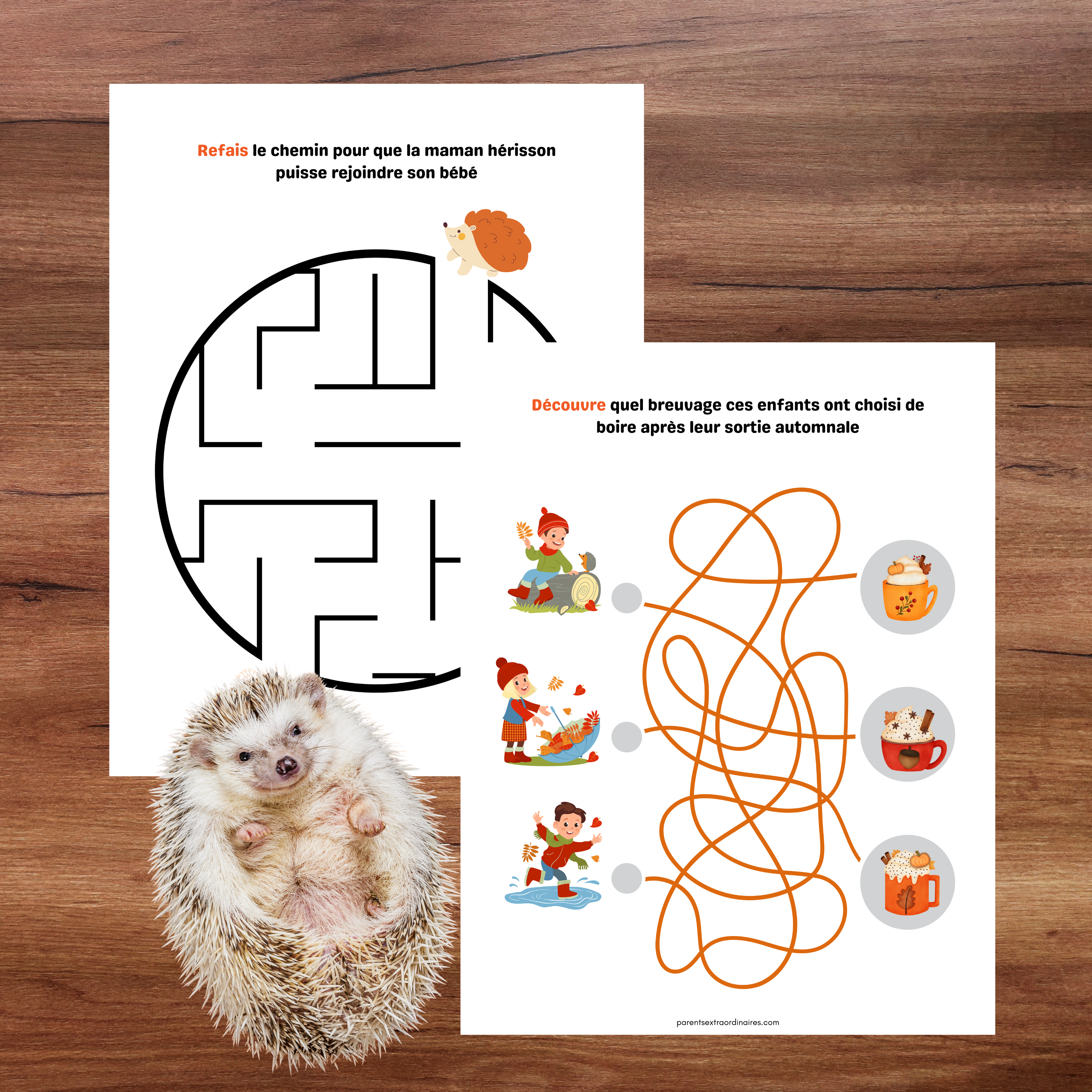Cahier d'activités d'automne