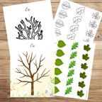 L'arbre des saisons
