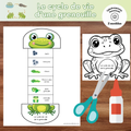 Bricolage le cycle de vie d'une grenouille