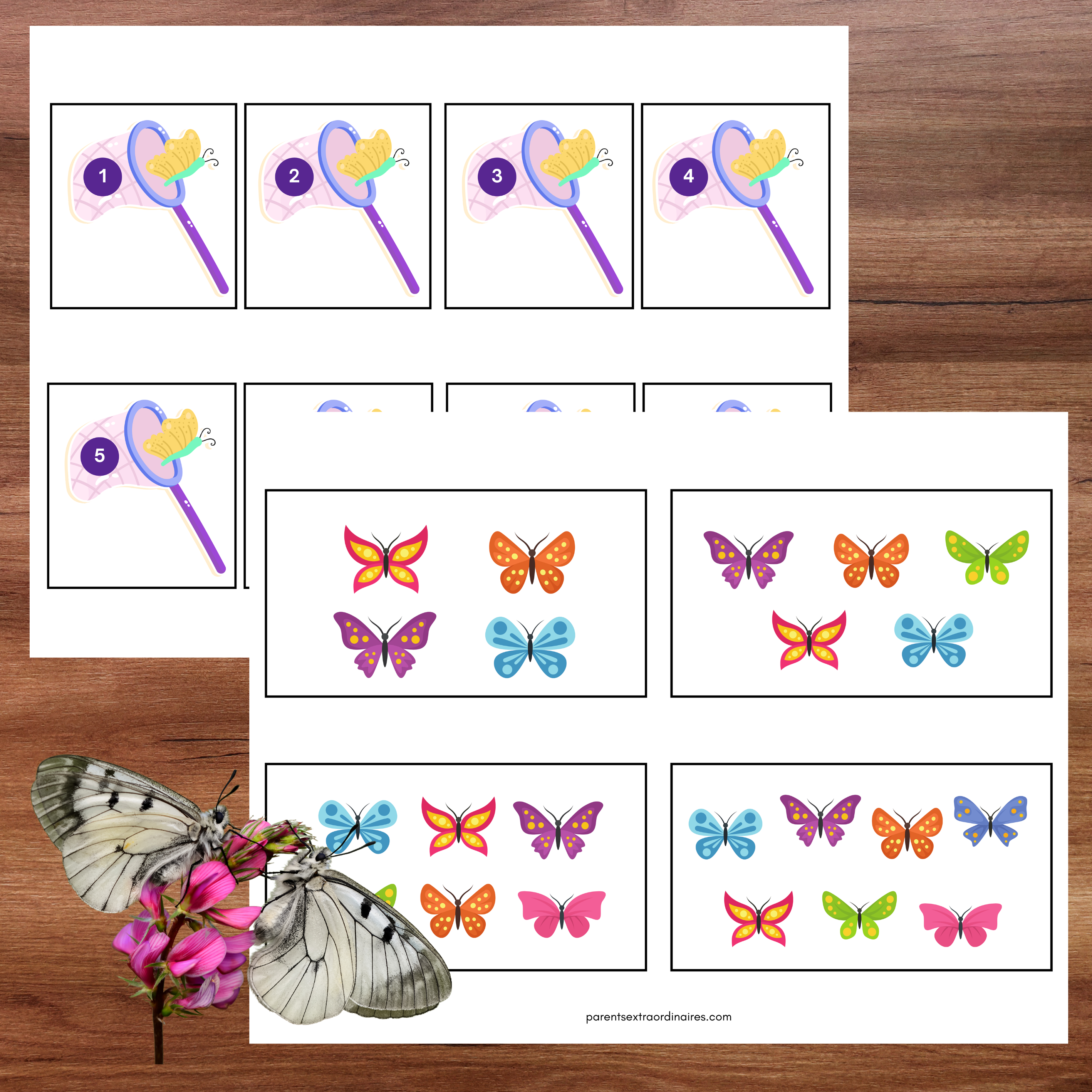 Activités papillons : nombres et lettres