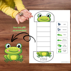 Bricolage le cycle de vie d'une grenouille