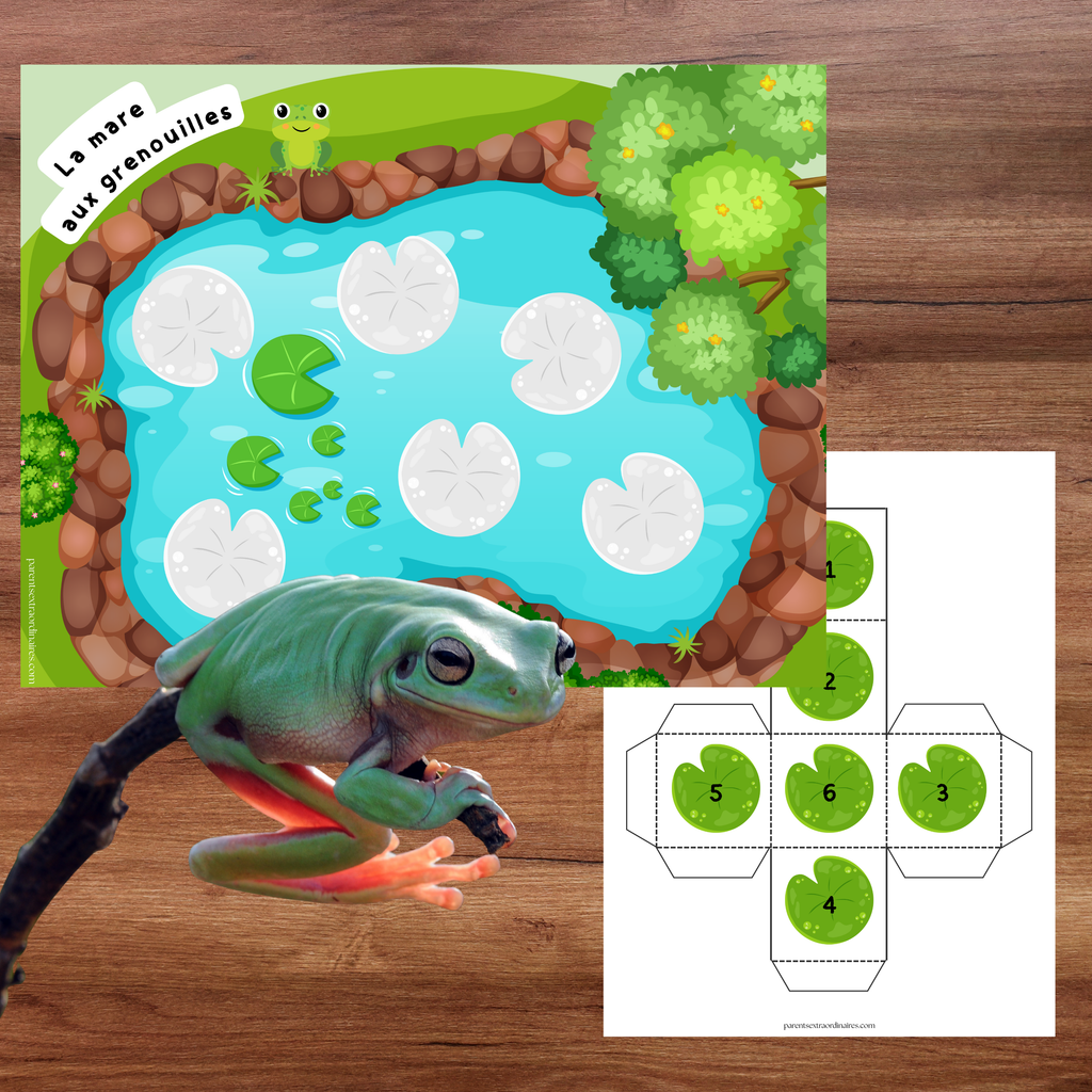 Jeu la mare aux grenouilles