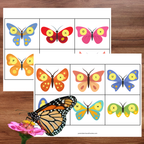 Activités papillons : nombres et lettres