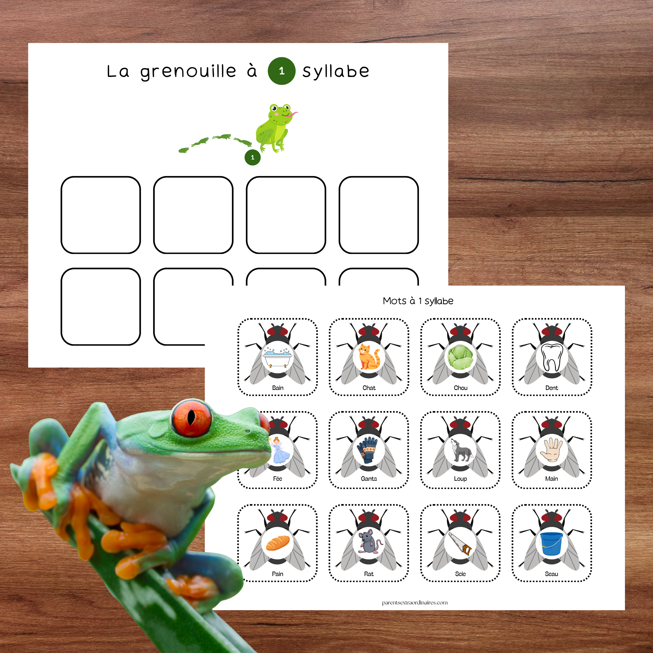 Activité la grenouille aux syllabes