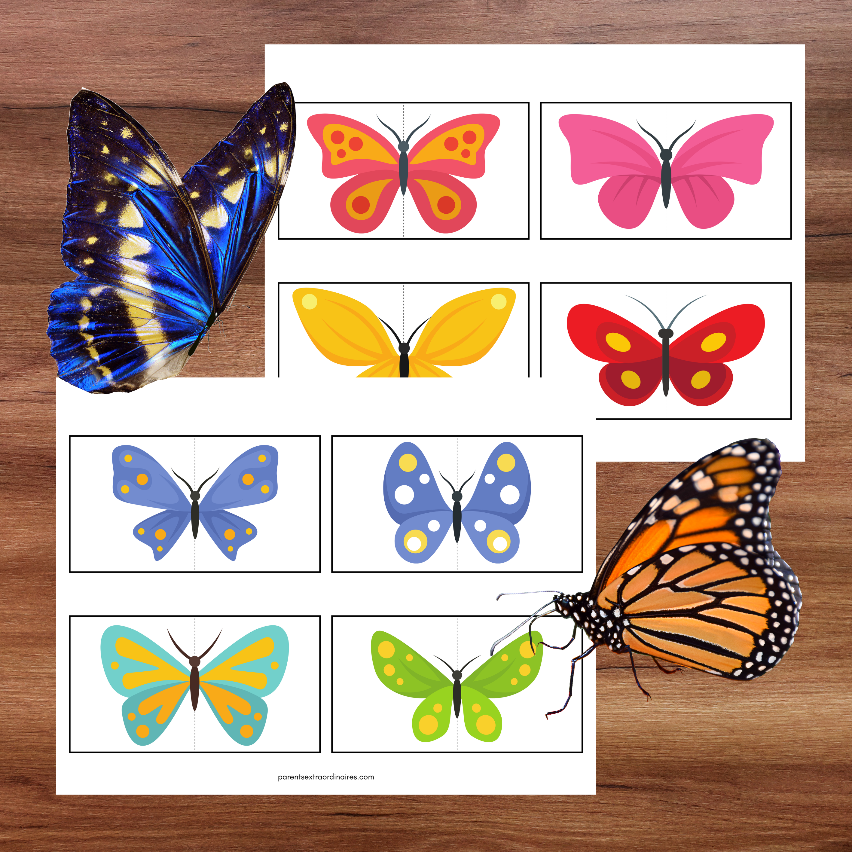 Ensemble d'activités thème papillons