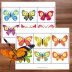 Ensemble d'activités thème papillons