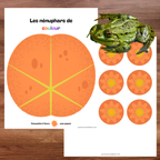 Jeu les nénuphars de couleur