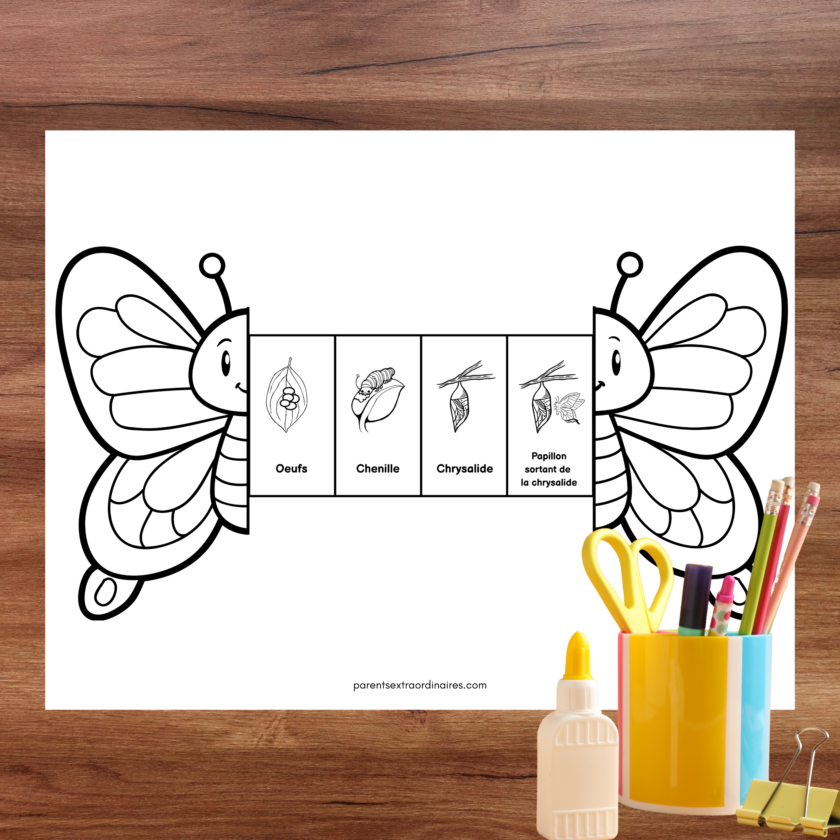 Ensemble d'activités thème papillons