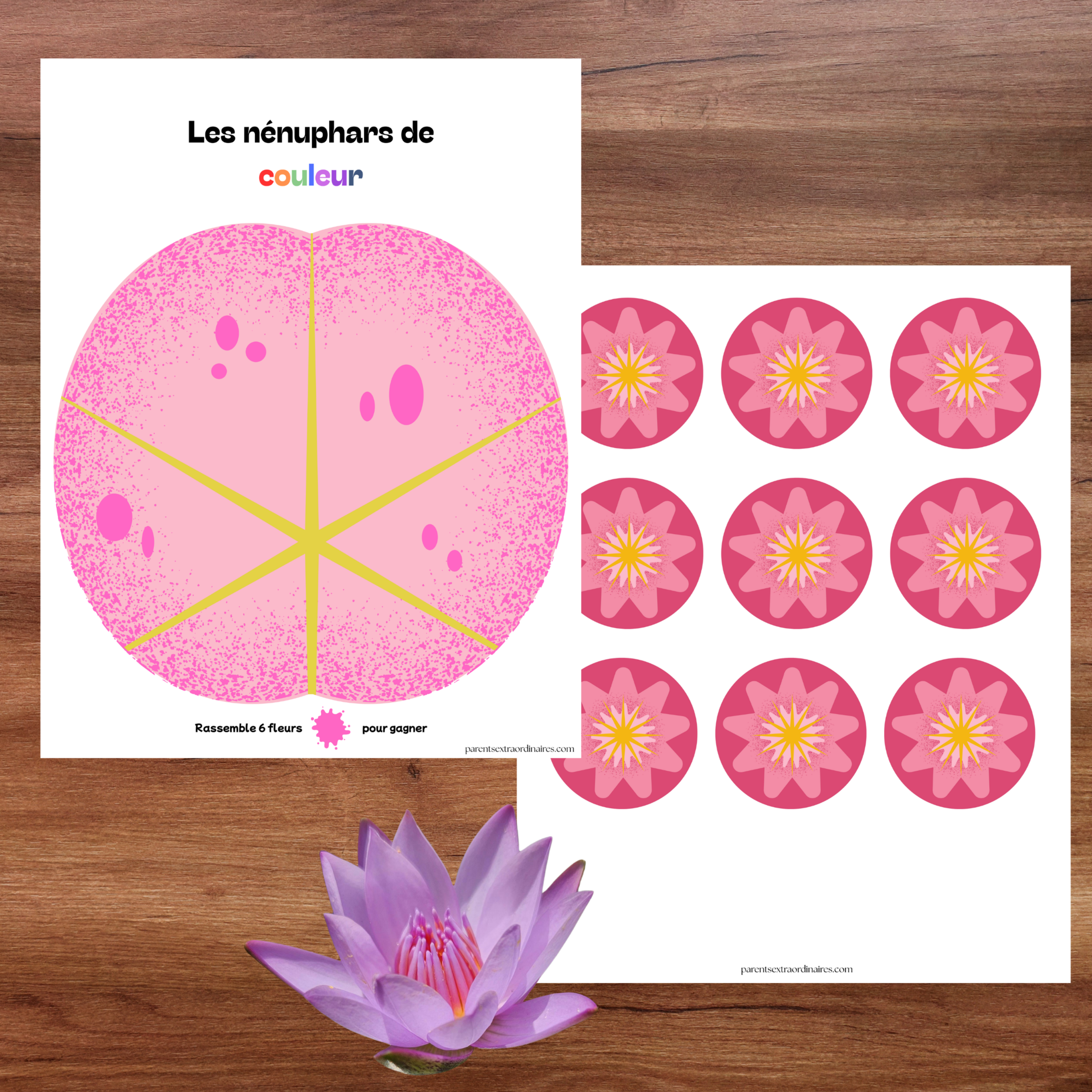 Jeu les nénuphars de couleur