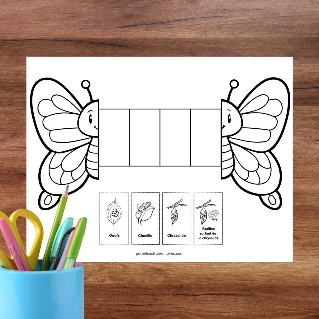 Ensemble d'activités thème papillons