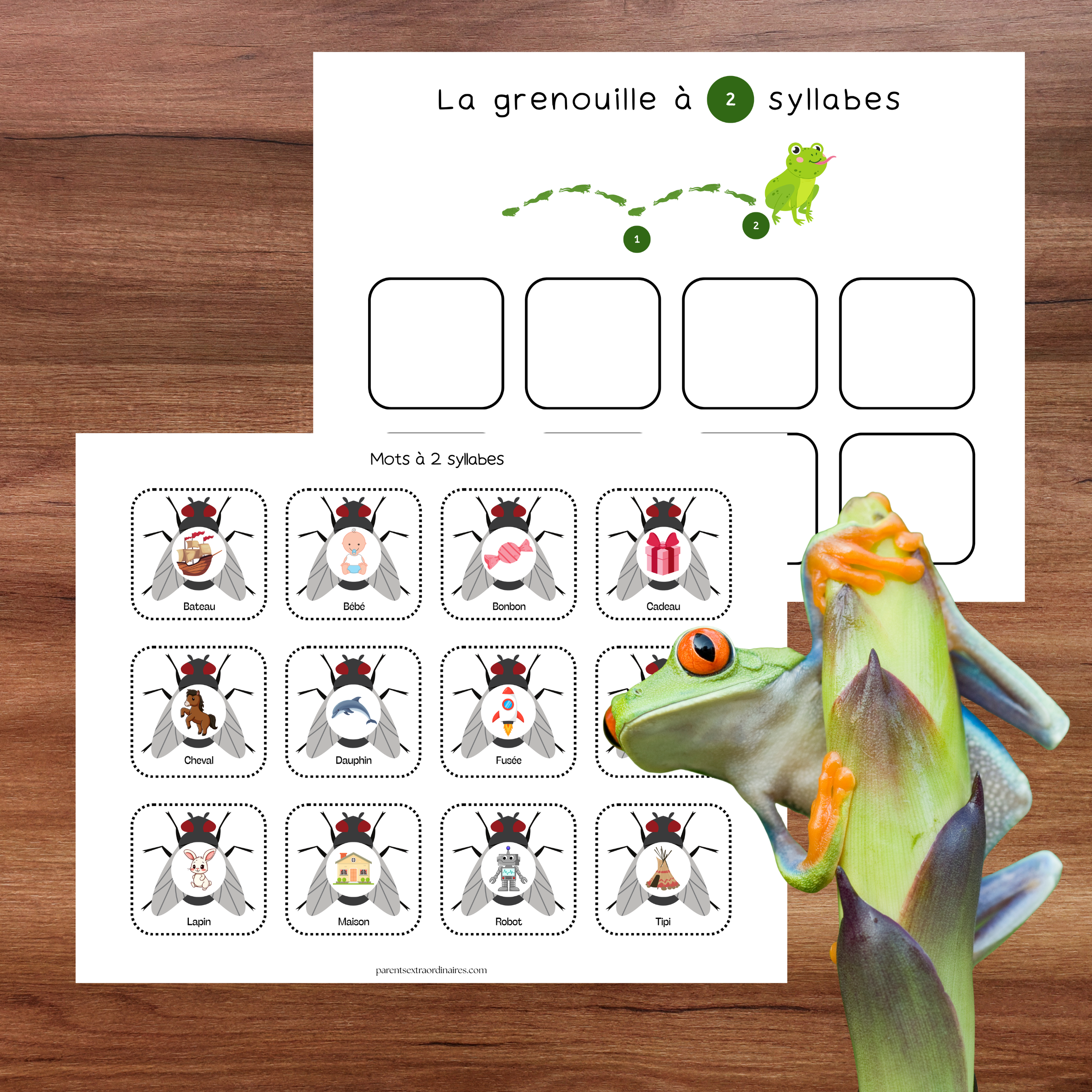 Ensemble d'activités thème grenouille