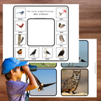 Cartes d'identification de la nature