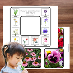 Cartes d'identification de la nature