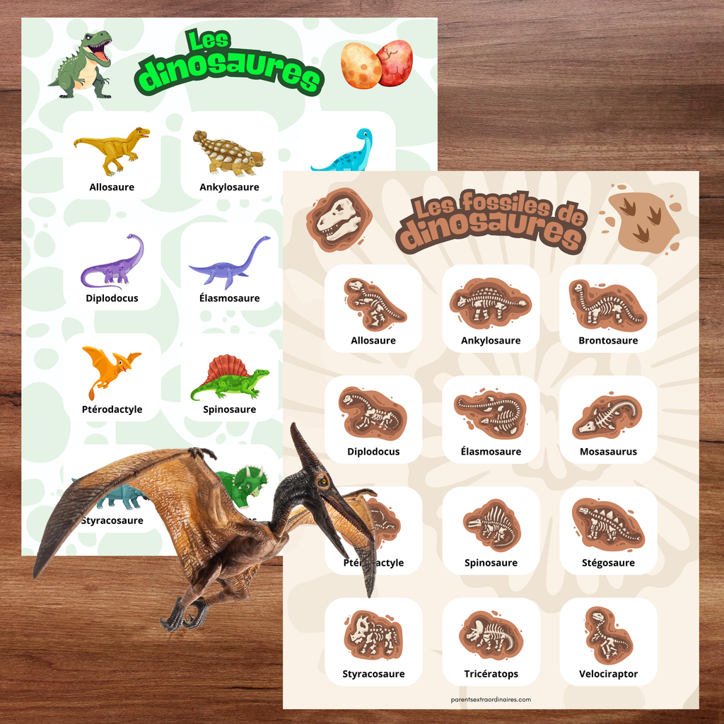Activité les fossiles de dinosaures