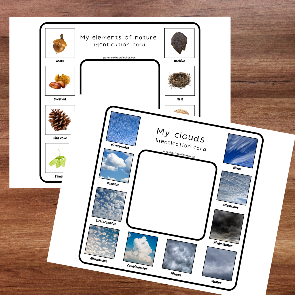 Cartes d'identification de la nature