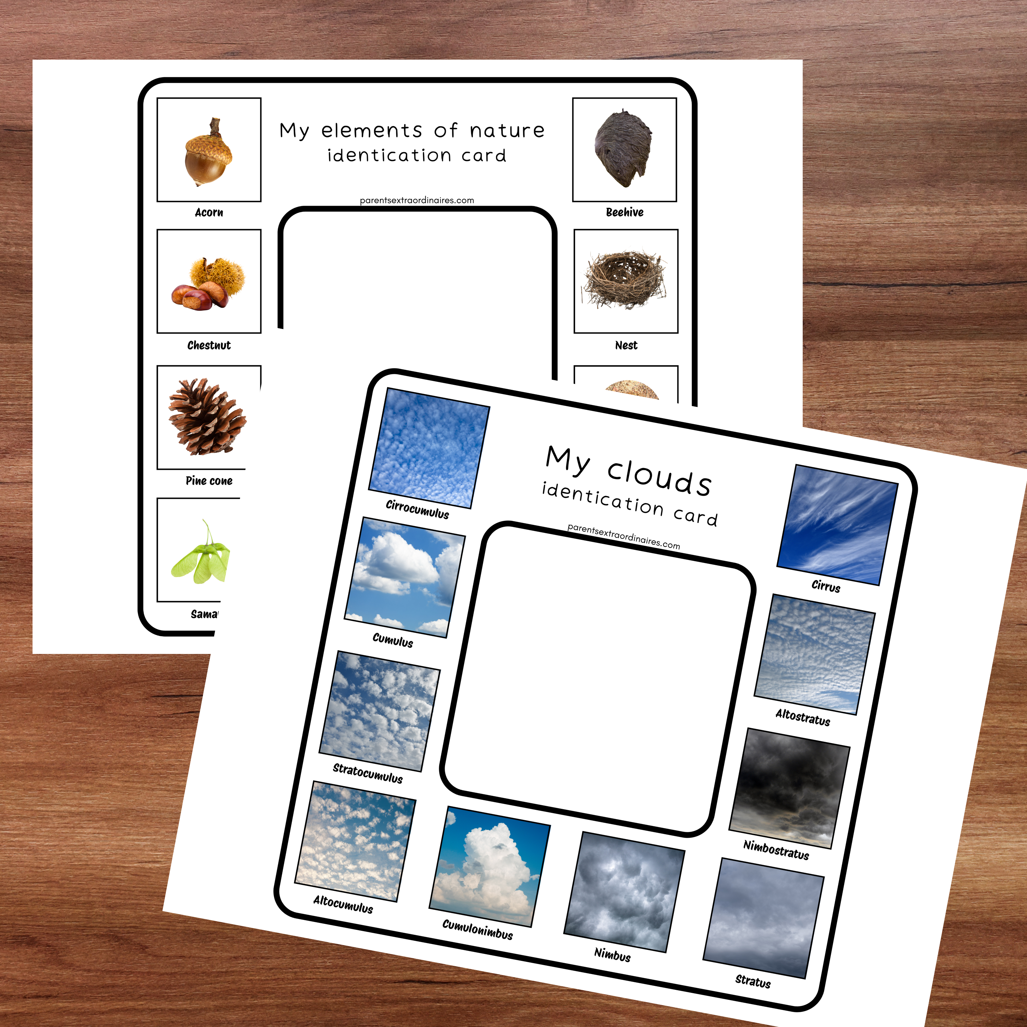 Cartes d'identification de la nature