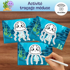 Activité traçage méduse