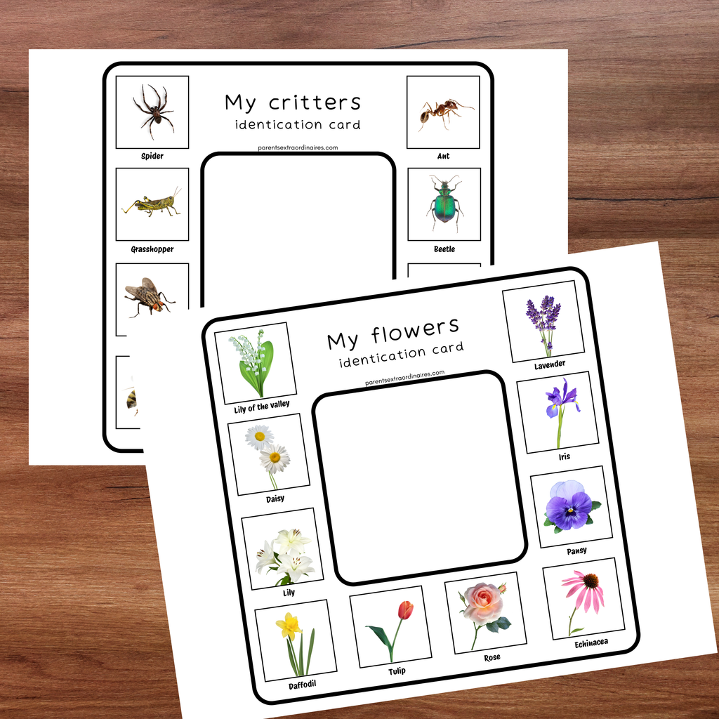 Cartes d'identification de la nature