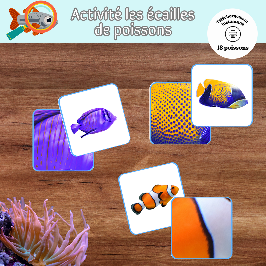 Activité les écailles de poissons